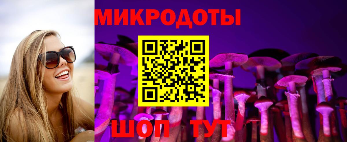 Псилоцибиновые грибы Cubensis  Вход с VPN  Санкт-Петербург 
